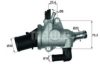 FIAT 60676066 Thermostat, coolant